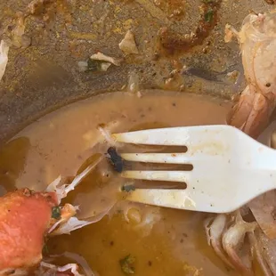 Mukbang Bowl with bug in it