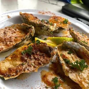 Oysters