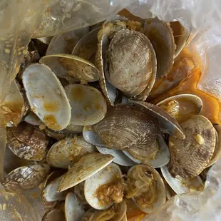 Clams