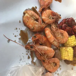 1 lb. Shrimp