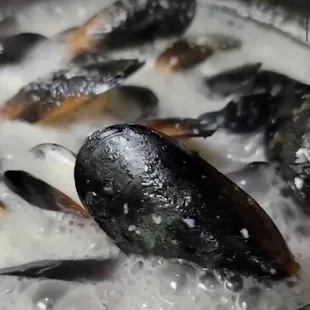 Crab Corner