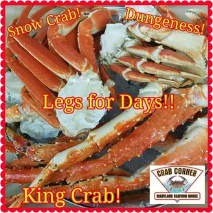 King, Dungeness &amp; Snow Crab!