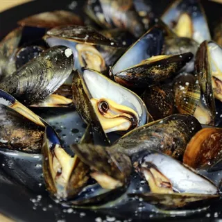 Black Mussels