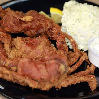 Softshell Crab