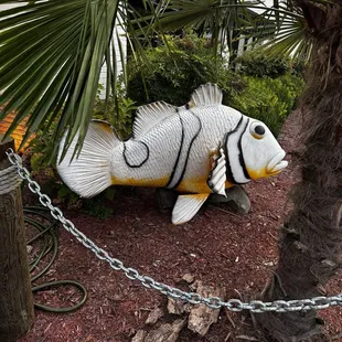 I think we found Nemo!!