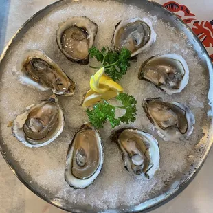 oysters and mussels, shellfish, oysters, food, mussels