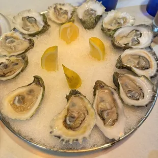 Blue Point Oysters