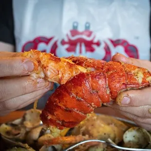 a person holding a piece of lobster