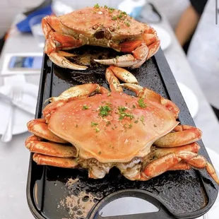 Crab by Joey Law @itsjagain