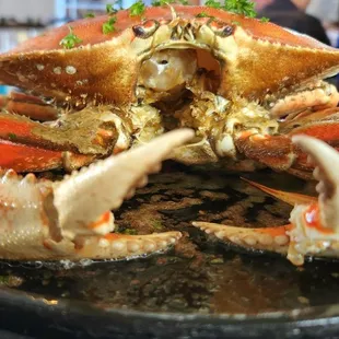 Roasted Crab