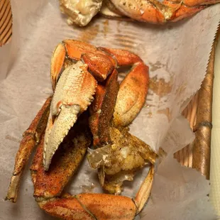 Dungess Crab