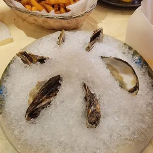 Raw Oysters