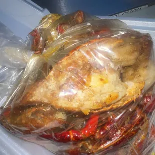 oysters and mussels, food
