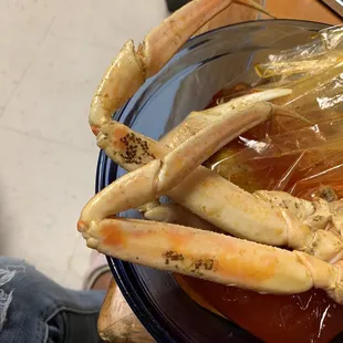 Crab with bugs