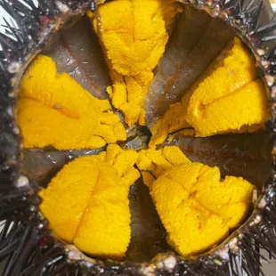 sushi and sashimi, food