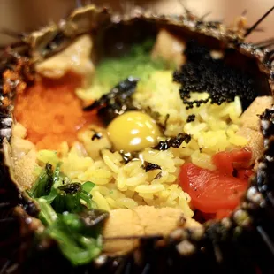 Mega Sea Urchin Rice