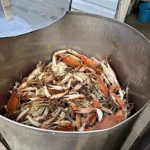 Went back for another round this weekend! These crabs were fantastic! And the seasoning is like a taste of Louisiana!