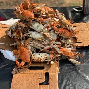 a pile of crabs on a table