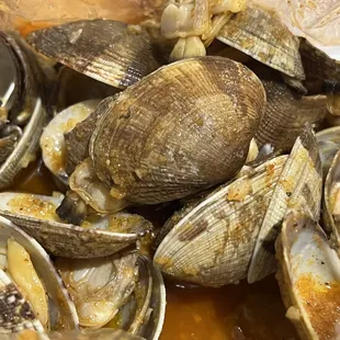 Clams - medium spicy, combination of everything spices