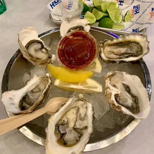 Oysters