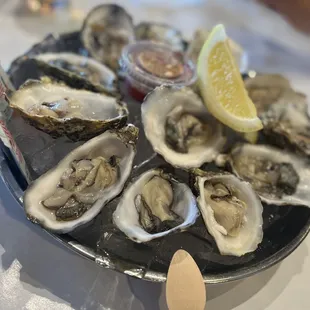 Oysters