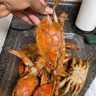 Crab Line Crab House