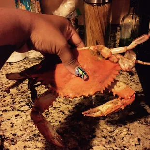 Extra large crabs