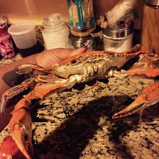 Very nice size crabs