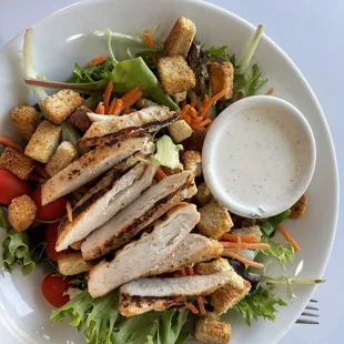 grilled chicken salad