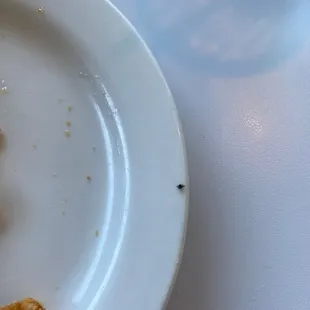fly