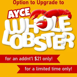 All you can eat whole lobster
