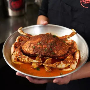 Whole Dungeness Crab