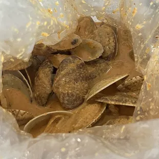 Clams in coconut sauce