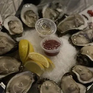 Fresh oysters