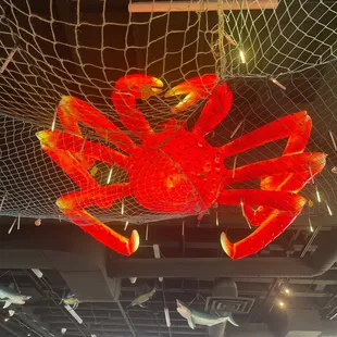 interior, sushi and sashimi