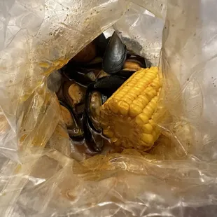 mussels, shellfish, oysters and mussels, oysters, food