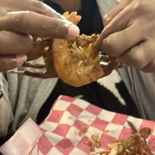 Shrimp and crab body the same size