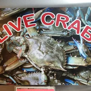 Live crab