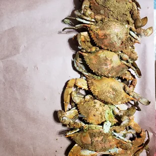 Still the nest crabs