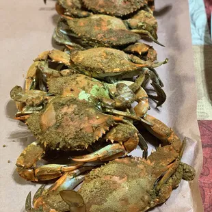 shellfish, mussels, oysters and mussels, food, oysters