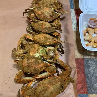 oysters and mussels, oysters, mussels, shellfish, food