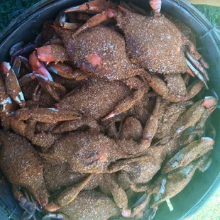 Fresh Maryland crabs!