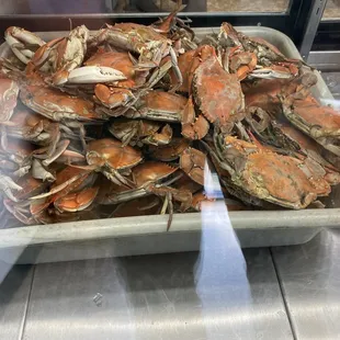 Crabs crabs crabs
