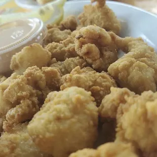 Gator bites and calamari (back).