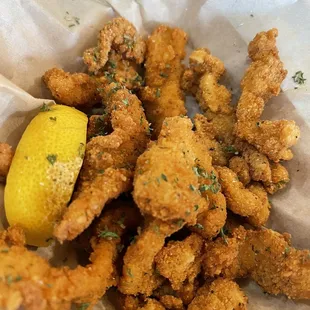 Killer Calamari