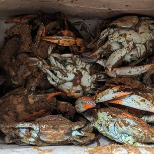 Crab Truck & Seafood Stop