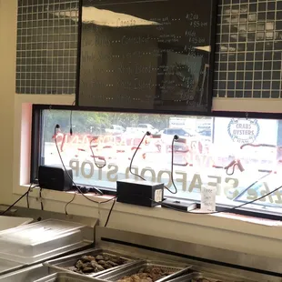 Oysters in the Shell