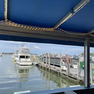 Patio view