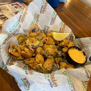 Florida Alligator Bites