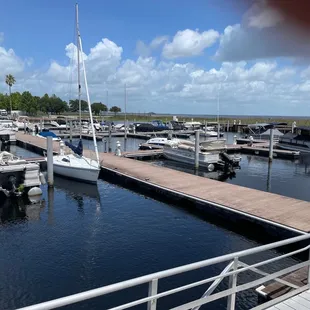 Sitting lakeside eating grouper tacos.